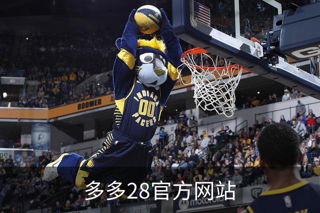 多多28官方网站公司简介